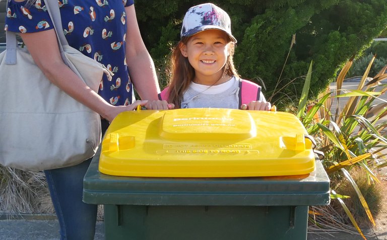 Grab a bargain at Council's nursery sale - Porirua City