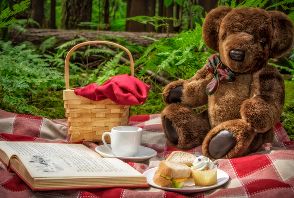 Teddy bear picnic