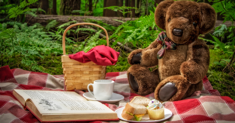 It's picnic time for teddy bears - Porirua City