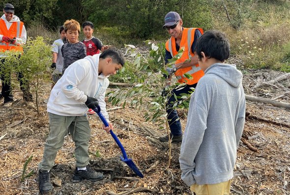 Tree planting in Cannons Creek Park