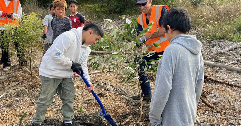 Tree planting in Cannons Creek Park