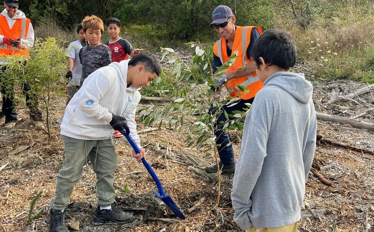 Tree planting in Cannons Creek Park