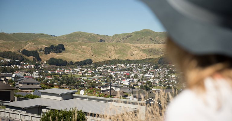 Porirua residential