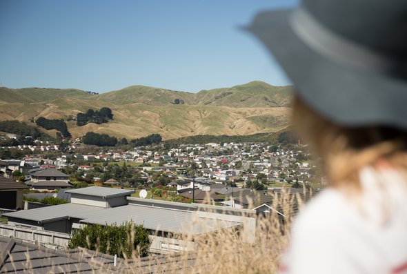 Porirua view from Rangituhi