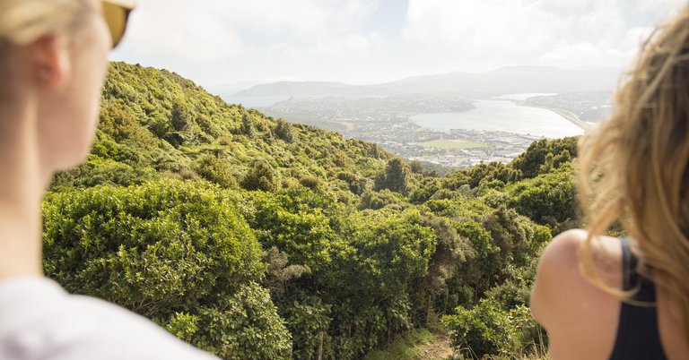 View-Porirua cityscape-walkers-CLEAN.jpg