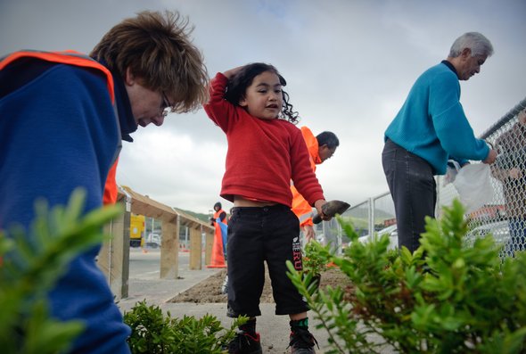 Planting in Waitangirua.