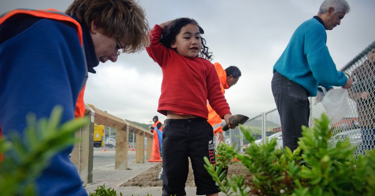 Planting in Waitangirua.