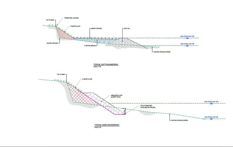 Wineera typical coastal edge sections