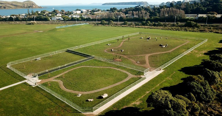 dog park aerial2.jpg