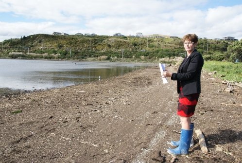 Councillor Anita Baker at the site of a major Porirua Harbour restoration project.