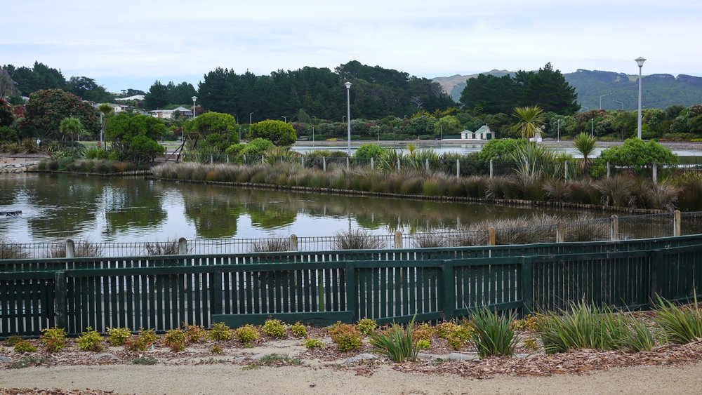 Aotea_Lagoon_Duck_Pond_1.jpg