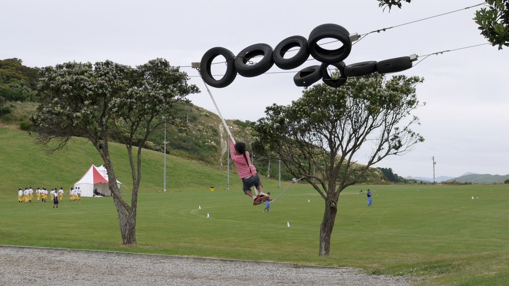 Ascot_Park_Flying_Fox.jpg