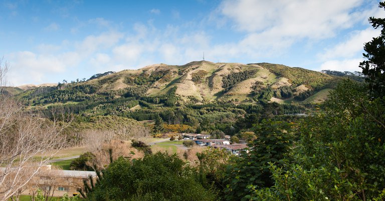 Site of the new Kenepuru Landing development