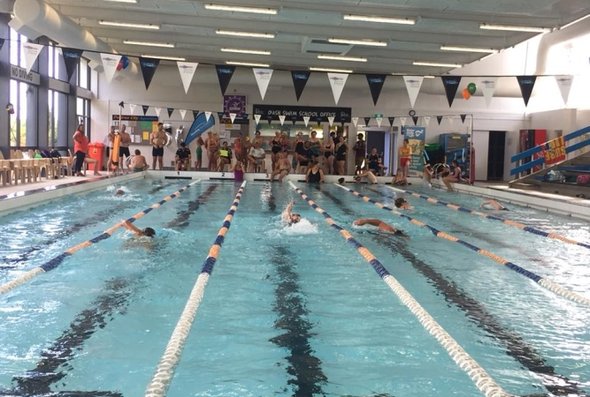 news - cannons creek pool swimathon