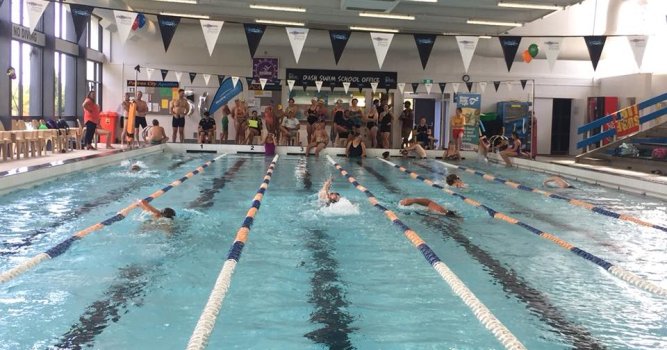 news - cannons creek pool swimathon