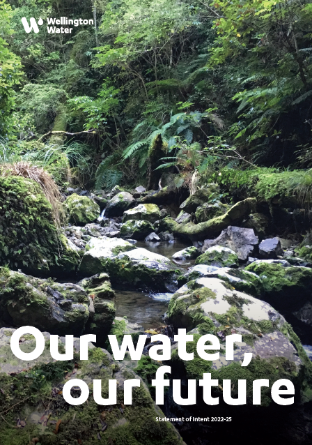 our water, our future, wellington water report