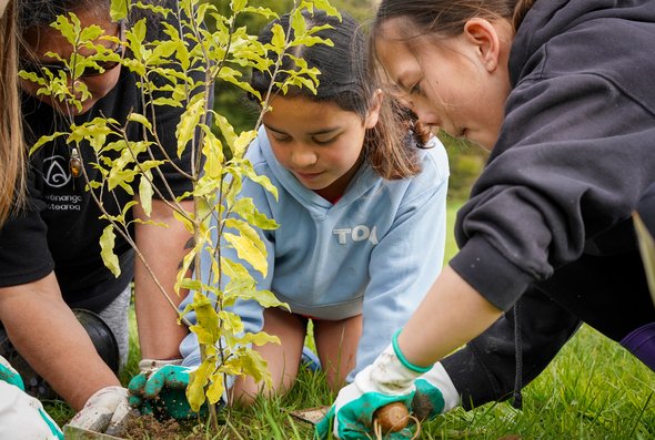 planting streamside