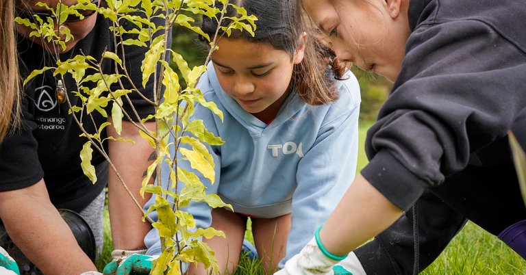 planting streamside