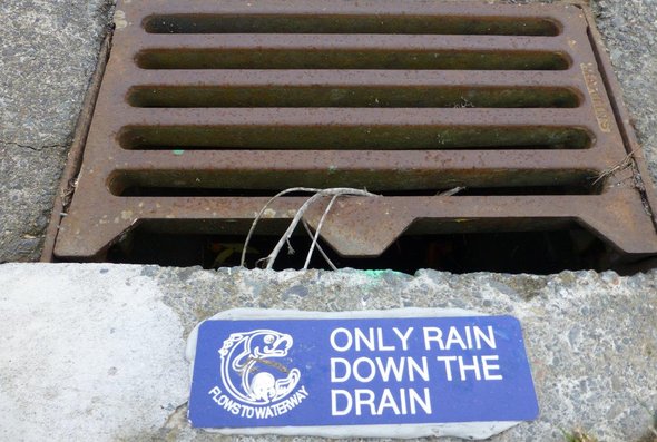 News - Only rain down our drains