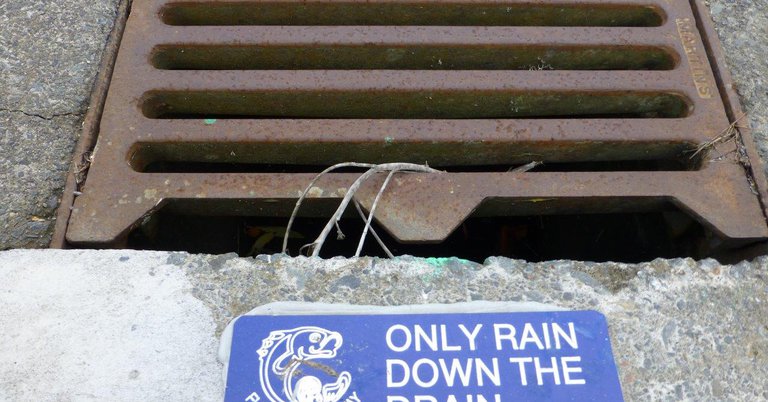 News - Only rain down our drains