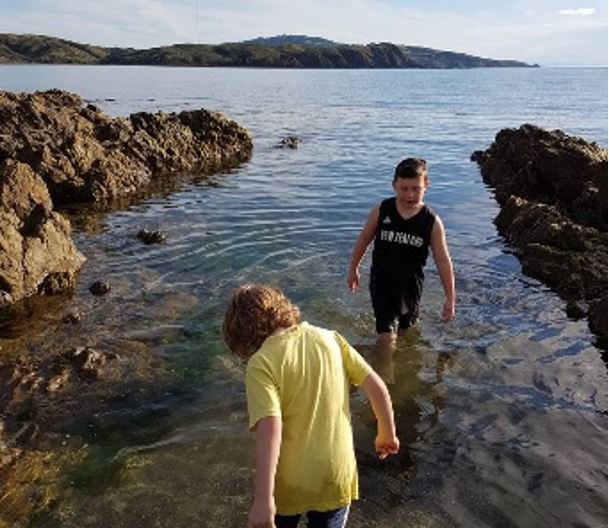 rockpools, karehana bay.JPG