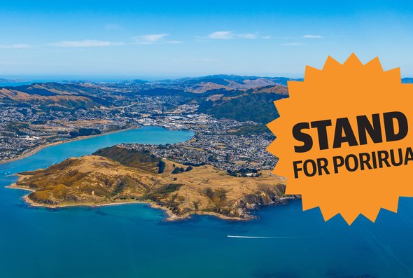 stand 11479-Porirua-City-Council_Elections-SM-1920x1080-v1