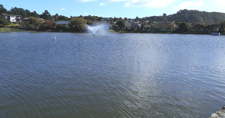 news - whitby lower lake