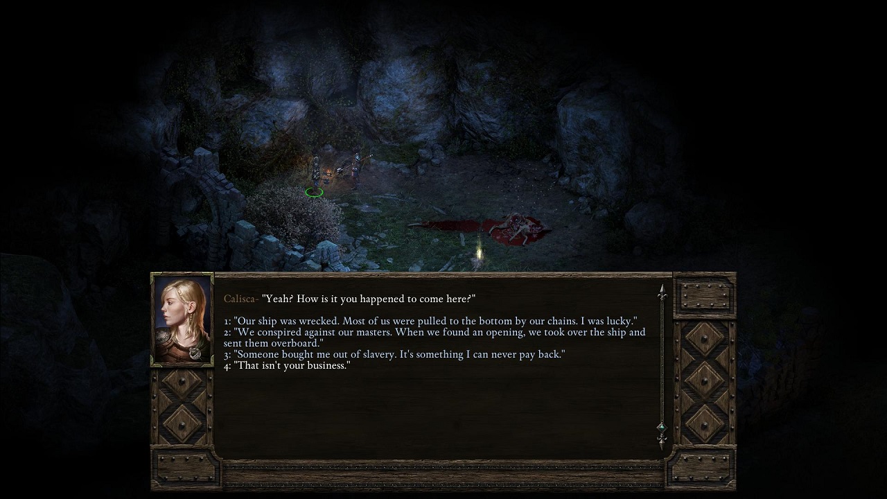 Pillars of Eternity: brilantní variace na téma klasických RPG 