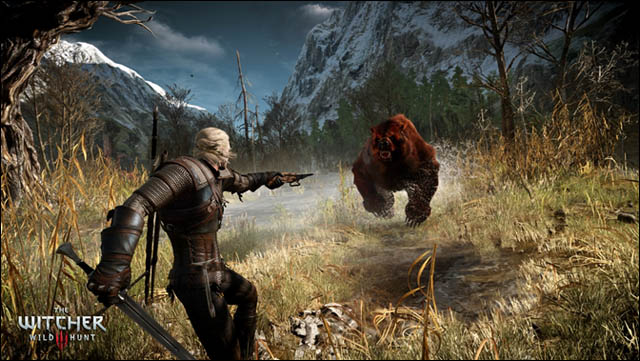 Unikly detaily z projektové dokumentace pro hru Witcher 3