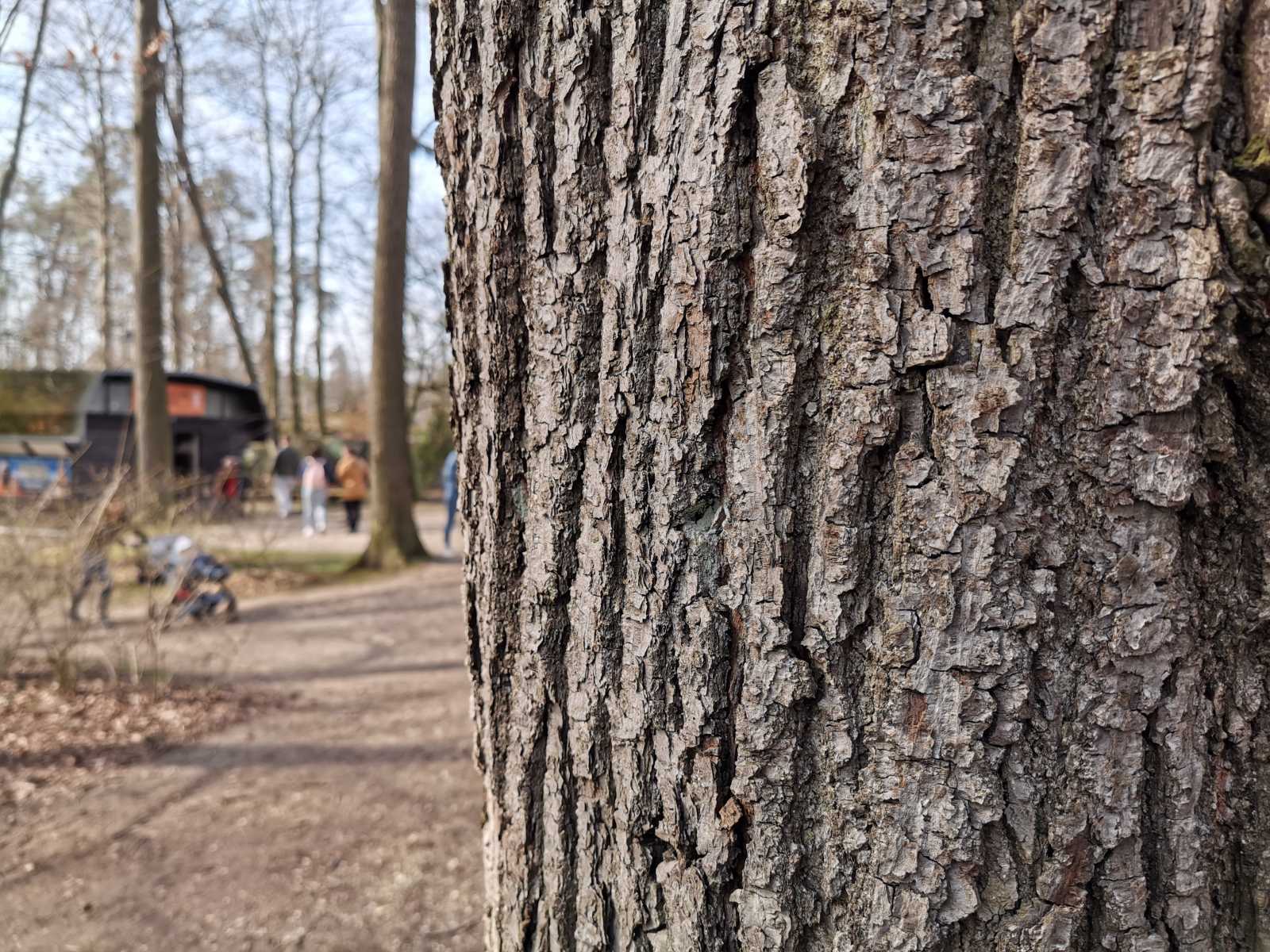 Test Huawei P30 Pro: špičkový telefon a nejlepší mobilní foťák