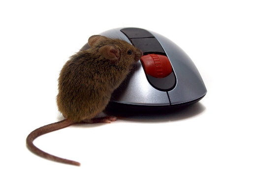 Kolik jste ochotni investovat do herní myšky? [anketa]