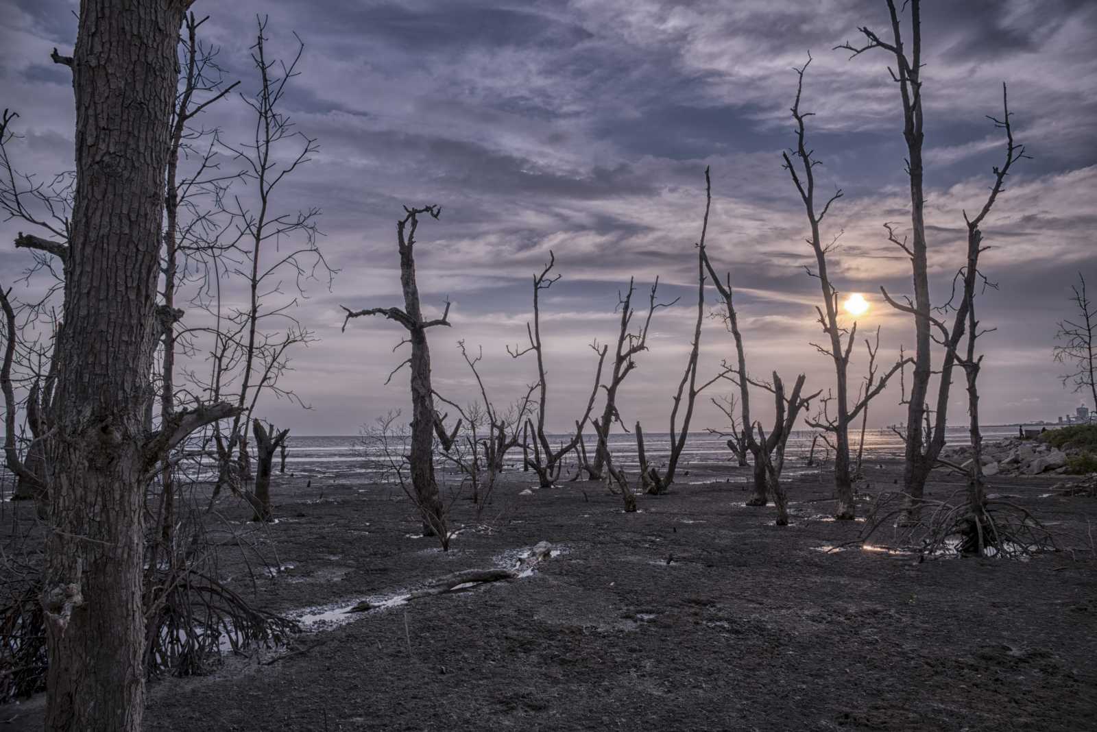 Informační přetížení: Topíme se v oceánu informací, a bude hůř