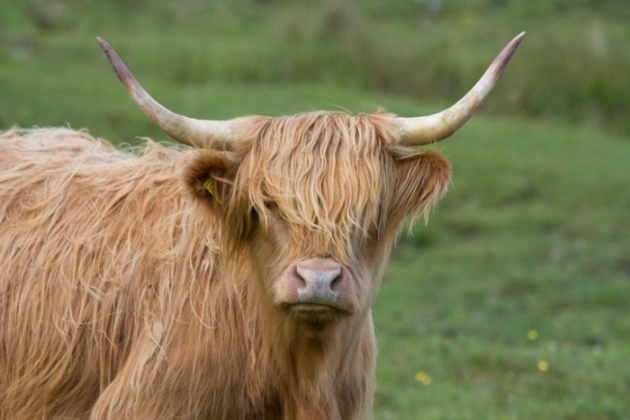 Mimořádné vydání: Je to tady! Je konec světa! Nebo ne?