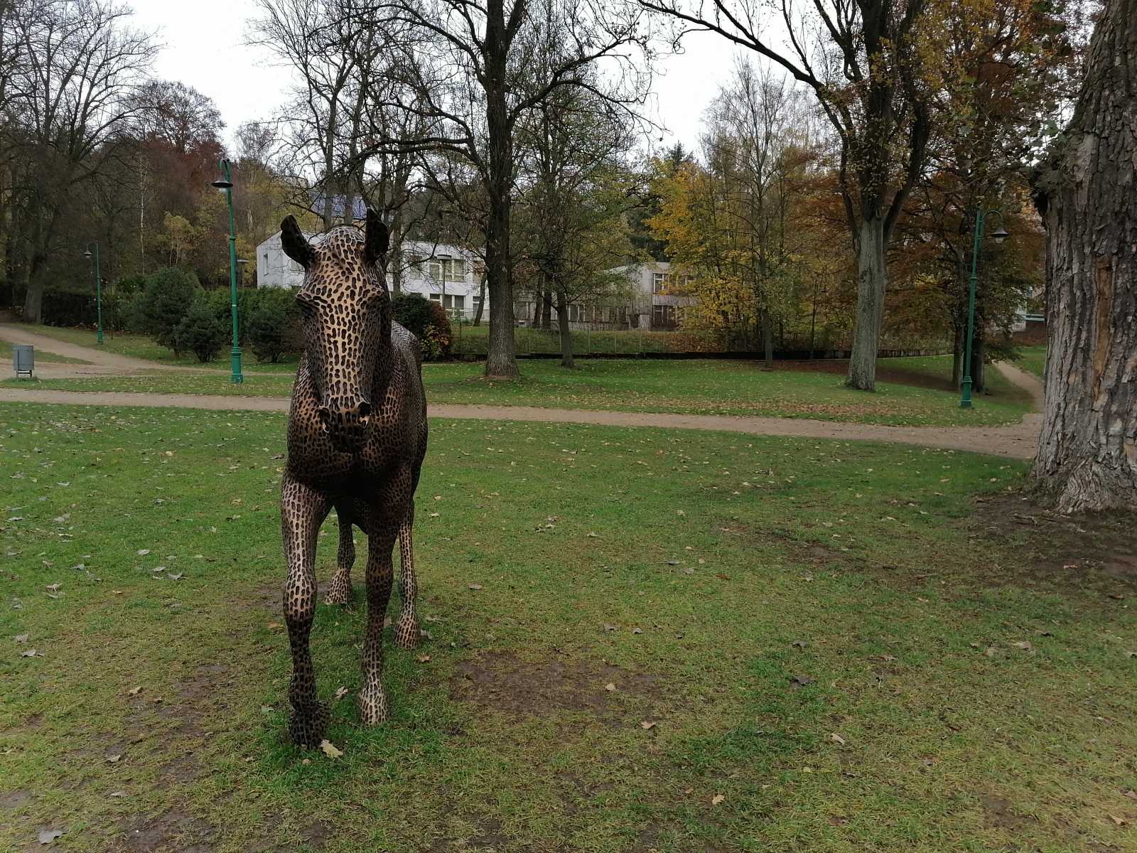 Test Honor 9X: vyskakovací selfie kamerka a provokující záda