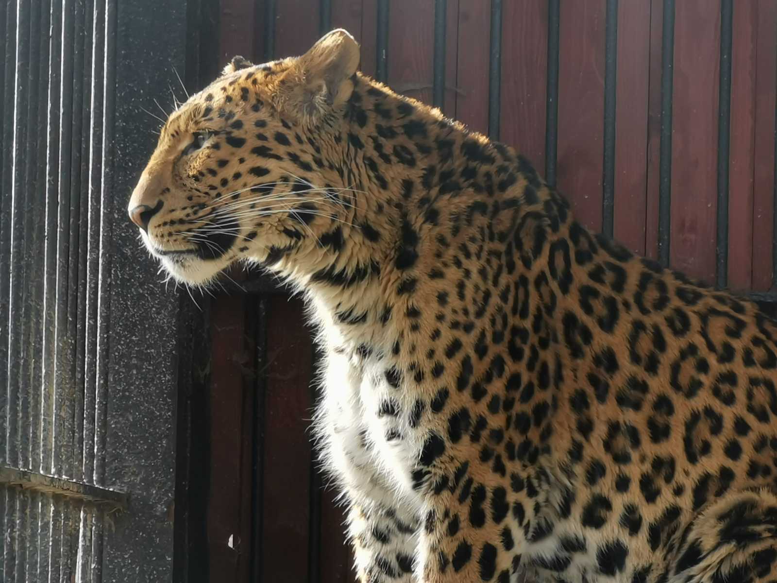 Test Huawei P30 Pro: špičkový telefon a nejlepší mobilní foťák