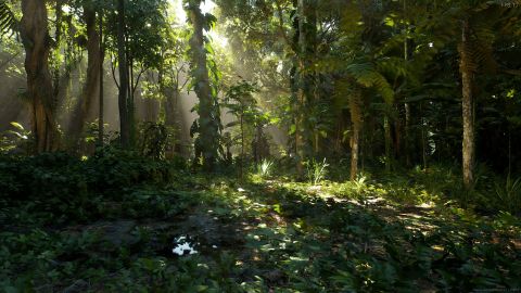 Vyzkoušejte si úžasné demo deštného pralesa stvořeného v Unreal Engine 5