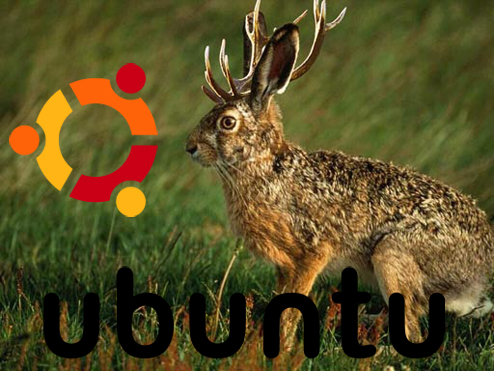 Linux Ubuntu 9.04 "Jaunty Jackalope"