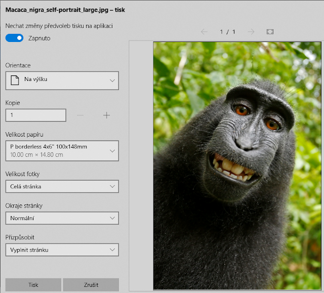 Tisk fotografie ve Windows