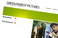 Google koupil Green Parrot Pictures. YouTube pomůže zlepšit kvalitu videa