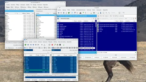 vybirame-dvoupaneloveho-spravce-souboru-pro-linux-v-roce-2022