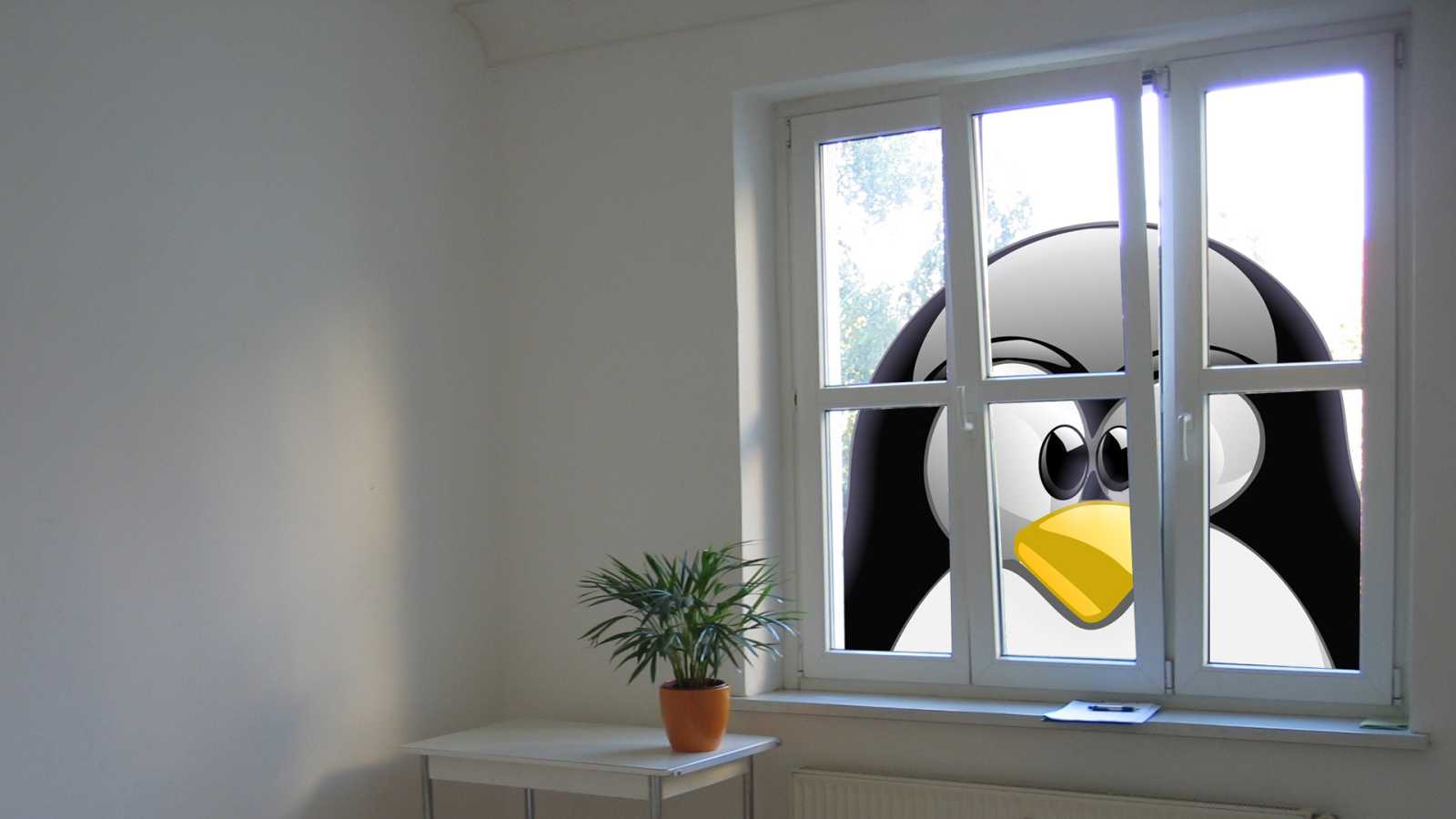 Jak na spouštění programů pro Windows pod linuxem