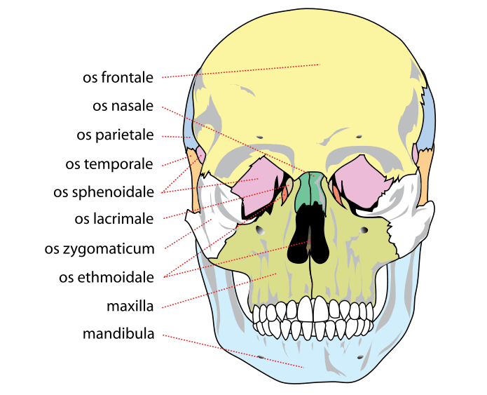 Ergonomie práce s počítačem – první část