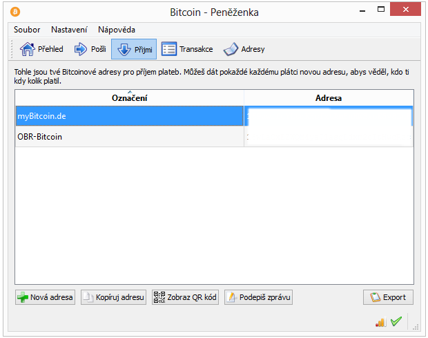 Bitcoin - Nafouknutá bublina nebo spása střadatelů?