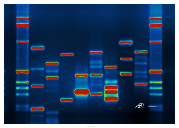 Microsoft kupuje syntetickou DNA  na ukládání dat