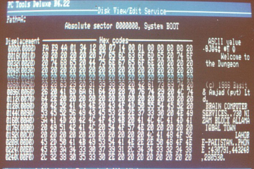 První počítačový virus oslavil 30. narozeniny, trestal pouze piráty