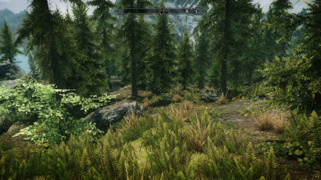  Skyrim po aplikaci všech testovaných grafických módů (po najetí myší se zobrazí původní kvalita hry) Skyrim po aplikaci všech testovaných grafických módů — Plné rozlišení Skyrim v původní kvalitě při nejvyšším nastavení detailů — Plné rozlišení