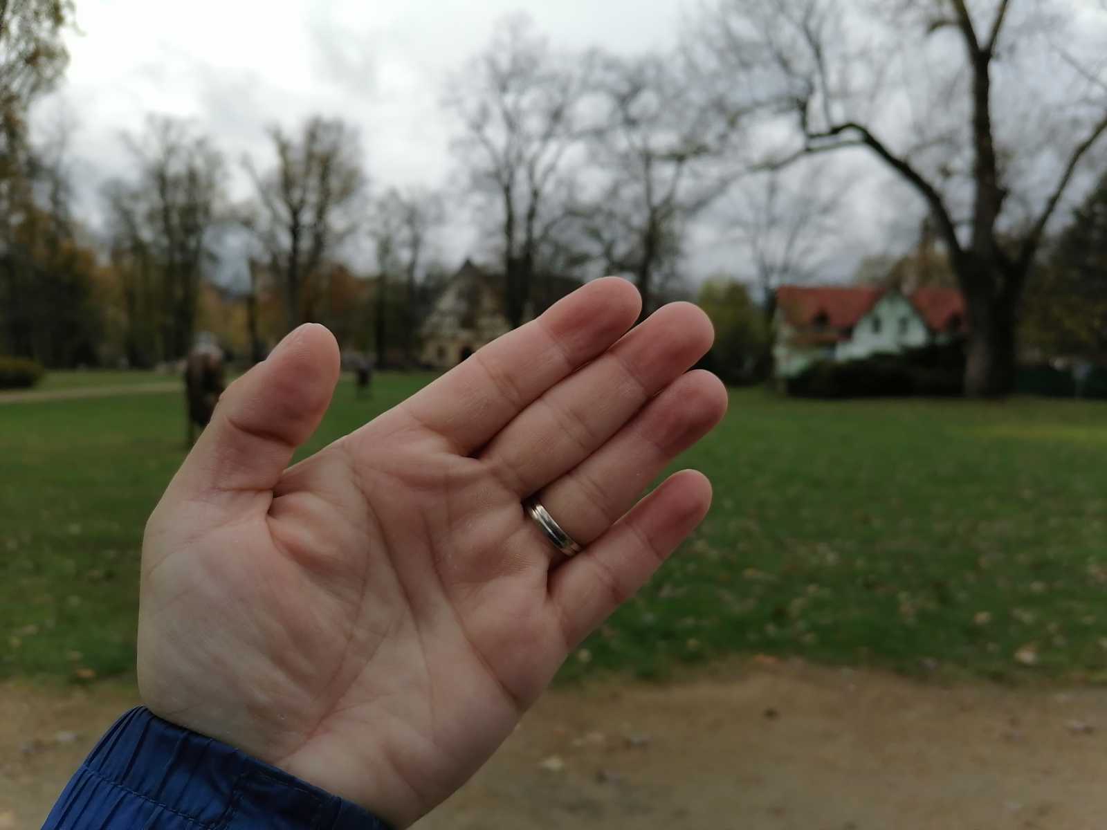 Test Honor 9X: vyskakovací selfie kamerka a provokující záda