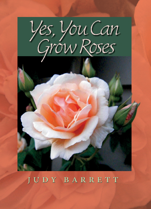 Yes, You Can Grow Roses (Judy Barrett)