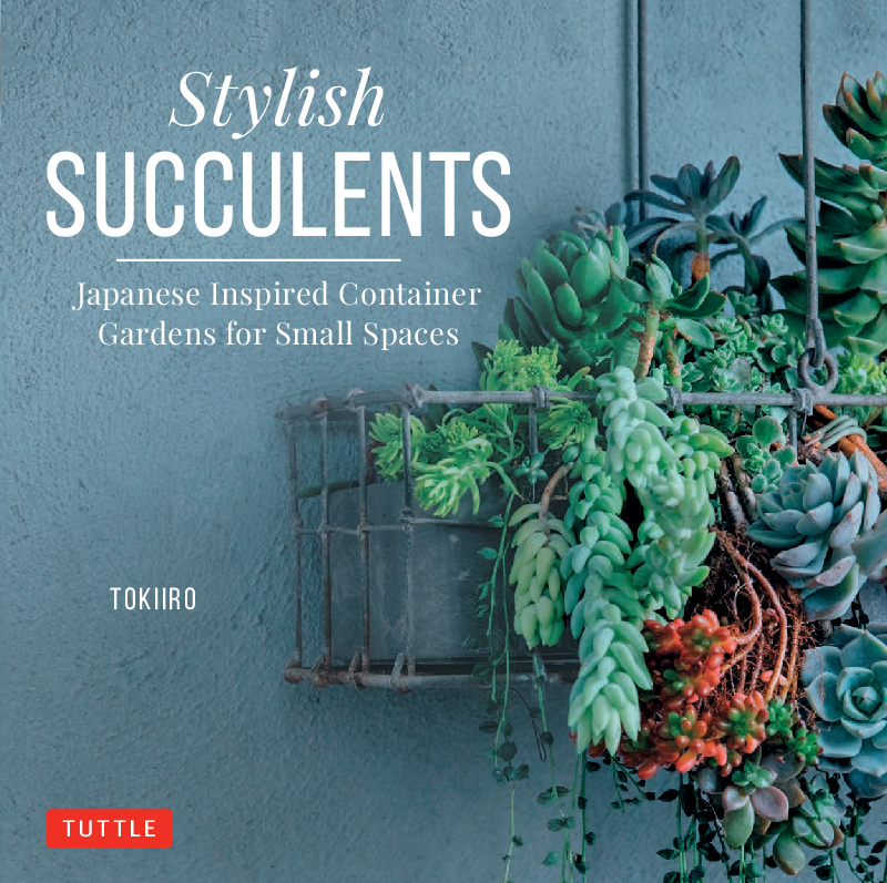 Stylish Succulents Japanese Inspired Container Gardens for Small Spaces