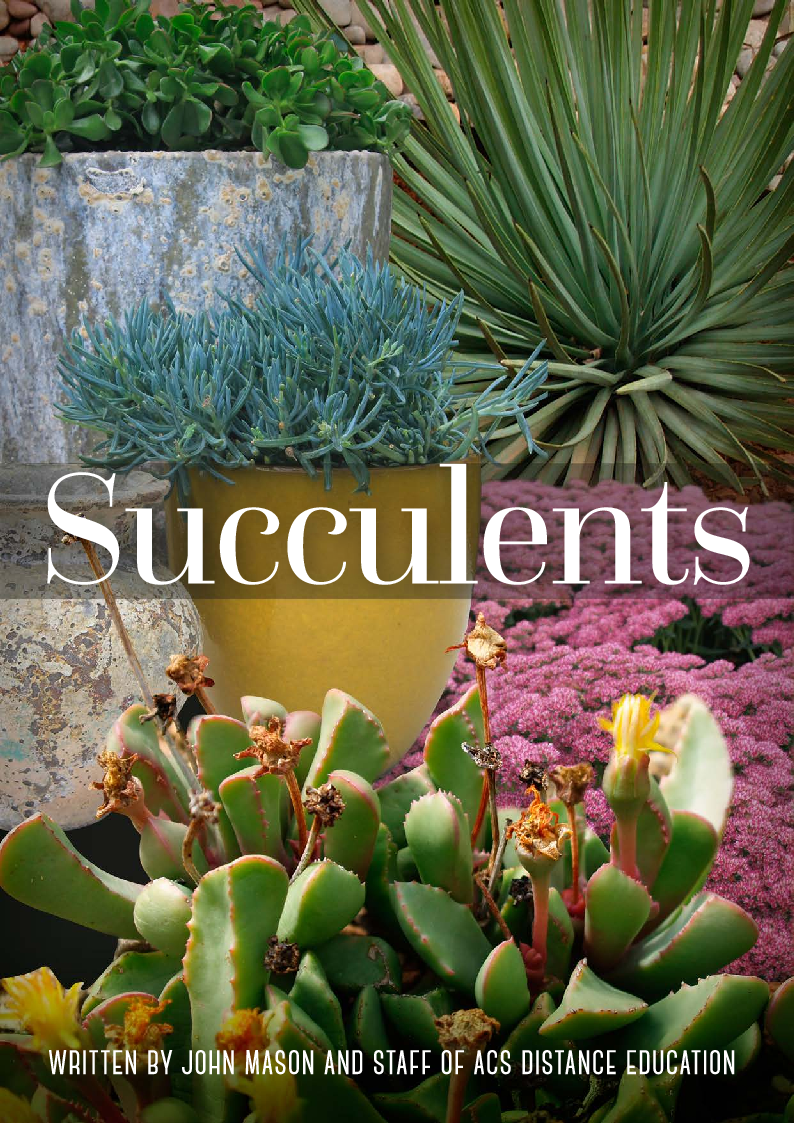 Succulents (Mason, John)